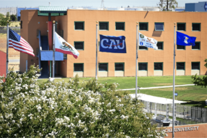CAU Supports Veterans - flags