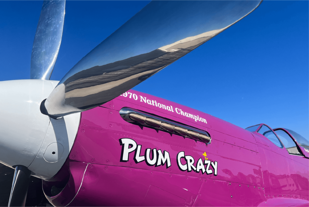 Vicky Benzing - Plum Crazy propeller